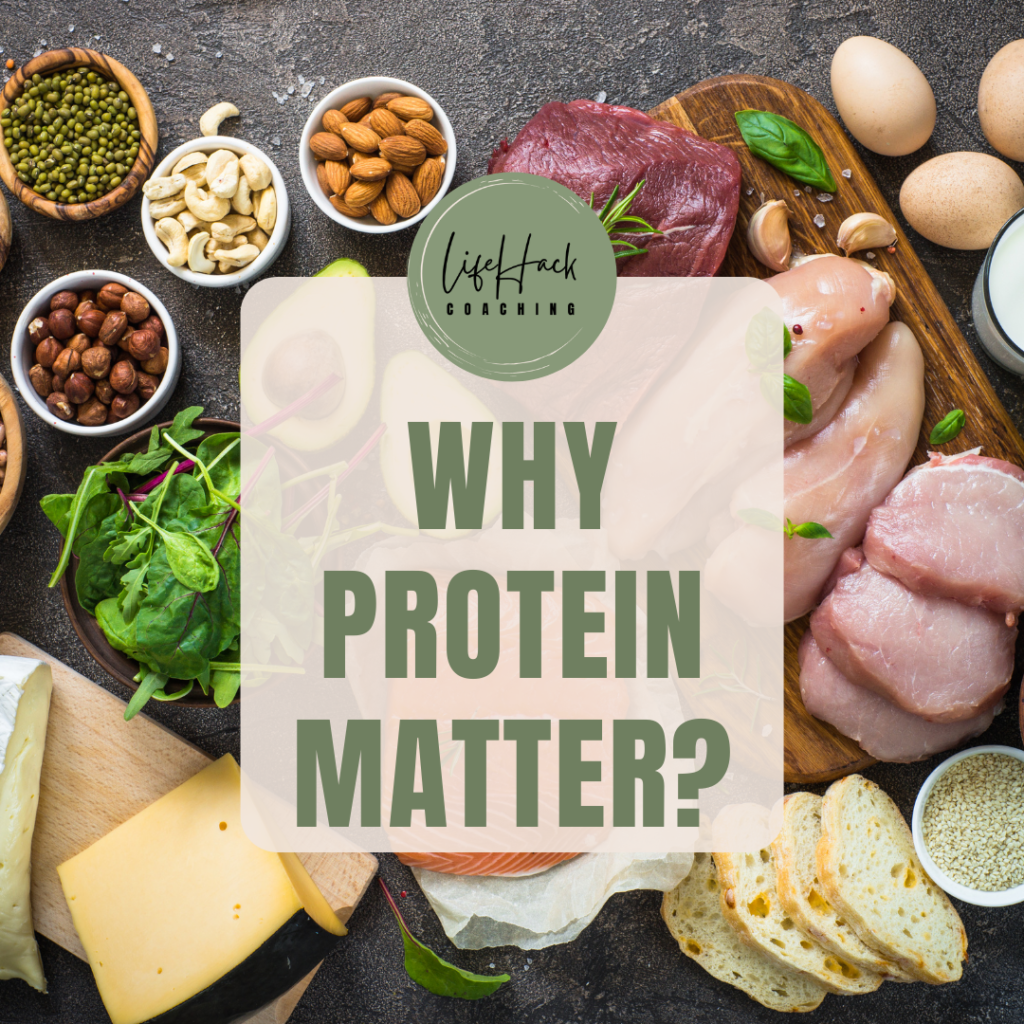 Why does protein matter? - Lifehack Coaching